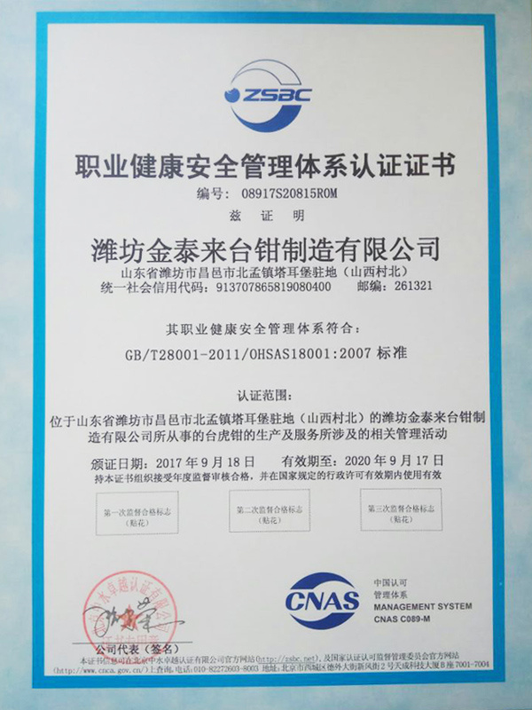 職業(yè)健康安全管理體系認證證書(shū).jpg
